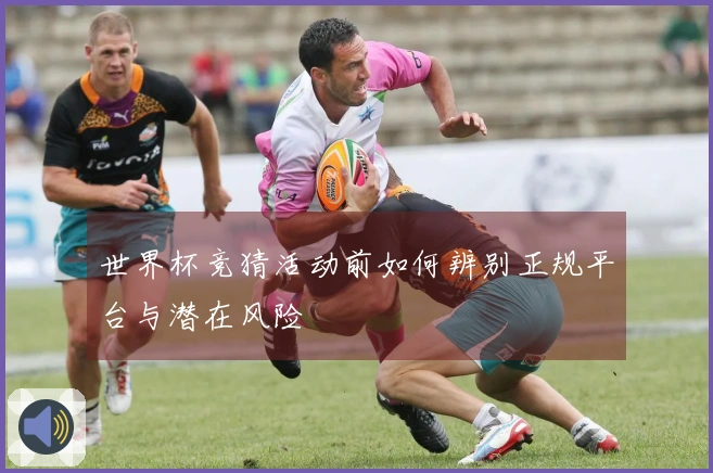 世界杯竞猜活动前如何辨别正规平台与潜在风险