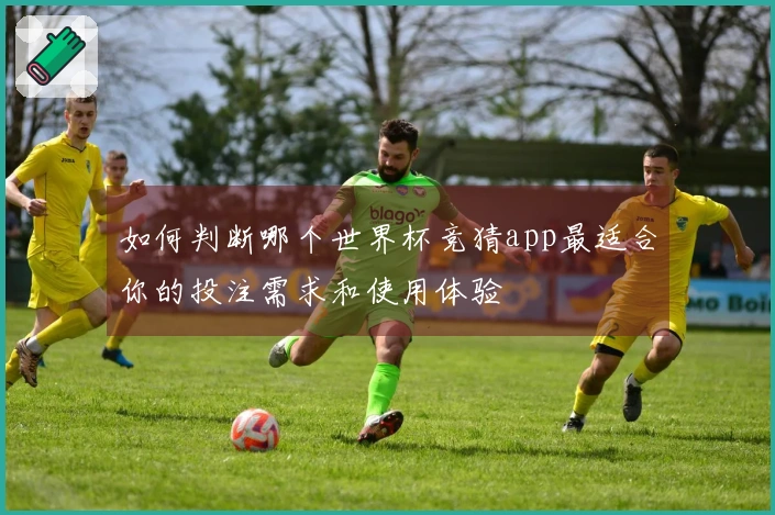 如何判断哪个世界杯竞猜app最适合你的投注需求和使用体验
