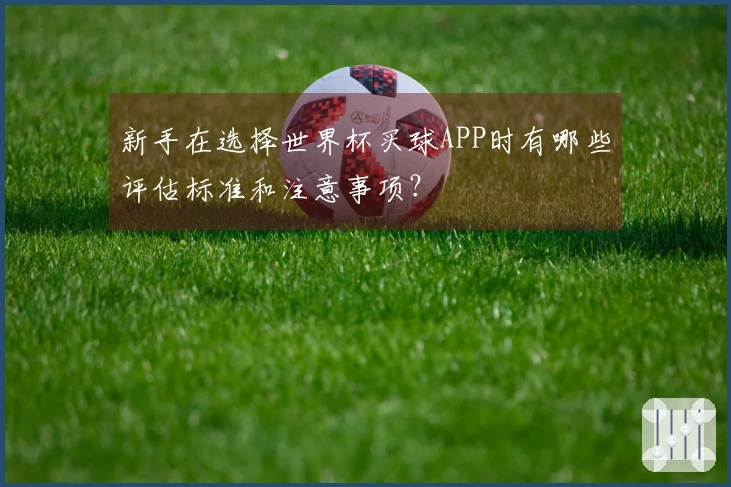 新手在选择世界杯买球APP时有哪些评估标准和注意事项？