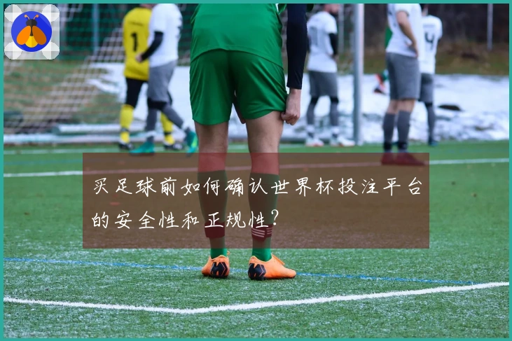 买足球前如何确认世界杯投注平台的安全性和正规性？