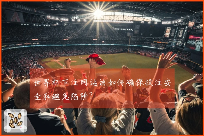 世界杯下注网站该如何确保投注安全和避免陷阱？