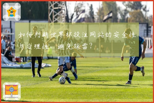 如何判断世界杯投注网站的安全性与合理性，避免踩雷？