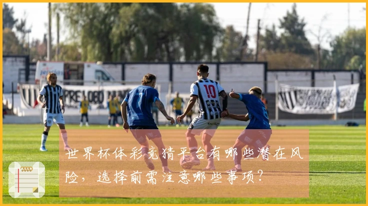 世界杯体彩竞猜平台有哪些潜在风险，选择前需注意哪些事项？
