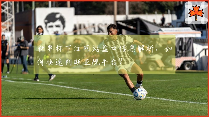 世界杯下注网站盘口信息解析，如何快速判断正规平台？