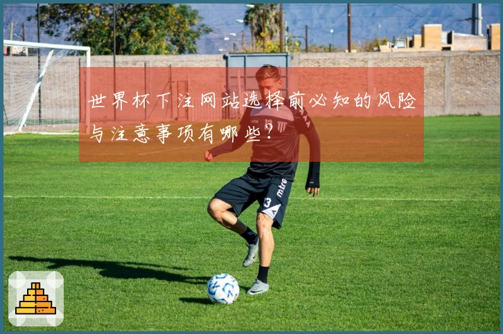 世界杯下注网站选择前必知的风险与注意事项有哪些？