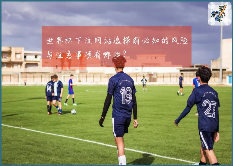 世界杯下注网站选择前必知的风险与注意事项有哪些？