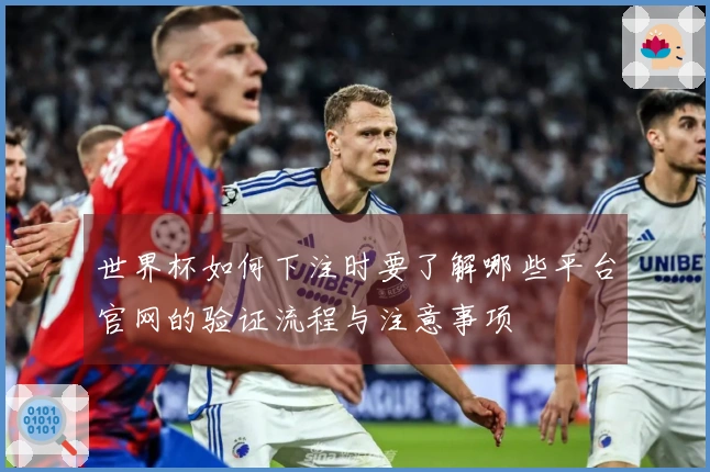 世界杯如何下注时要了解哪些平台官网的验证流程与注意事项