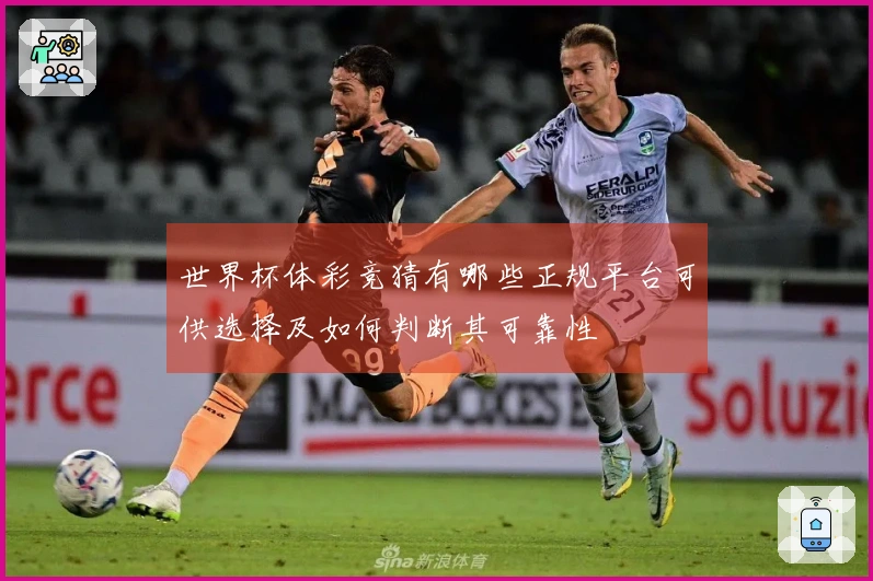 世界杯体彩竞猜有哪些正规平台可供选择及如何判断其可靠性