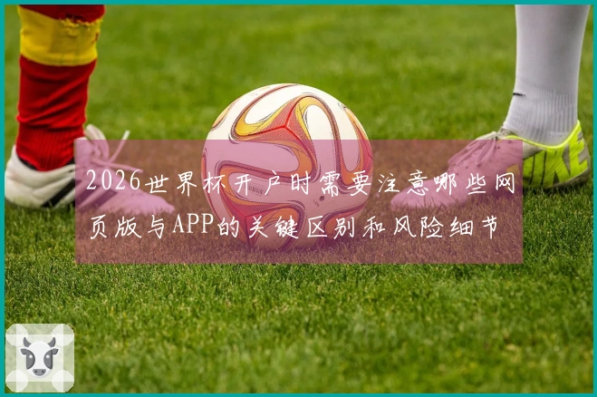 2026世界杯开户时需要注意哪些网页版与APP的关键区别和风险细节