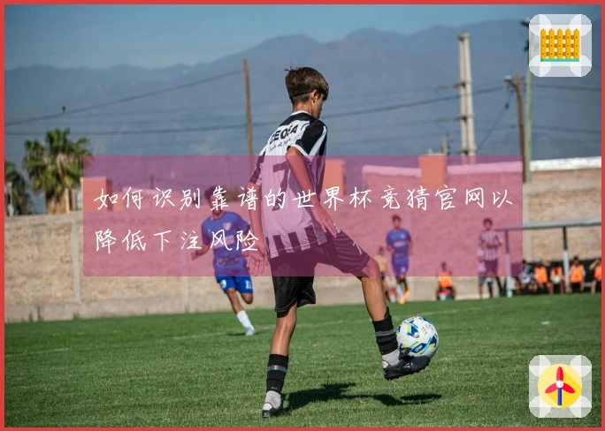 如何识别靠谱的世界杯竞猜官网以降低下注风险