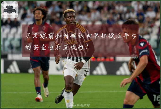 买足球前如何确认世界杯投注平台的安全性和正规性？