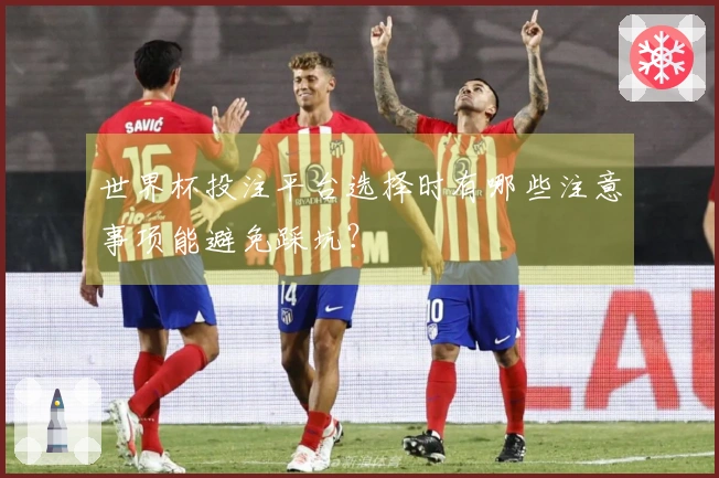 世界杯投注平台选择时有哪些注意事项能避免踩坑？