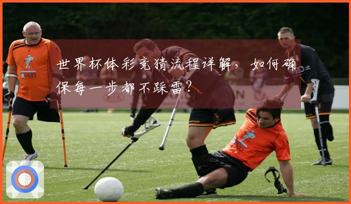 世界杯体彩竞猜流程详解，如何确保每一步都不踩雷？