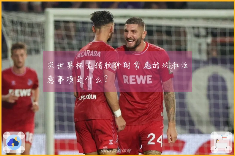 买世界杯竞猜软件时常见的坑和注意事项是什么？