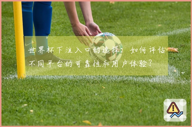 世界杯下注入口的选择：如何评估不同平台的可靠性和用户体验？