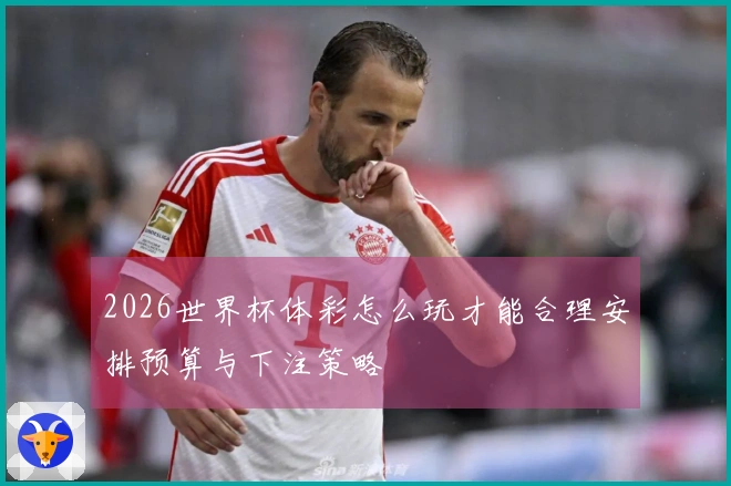2026世界杯体彩怎么玩才能合理安排预算与下注策略