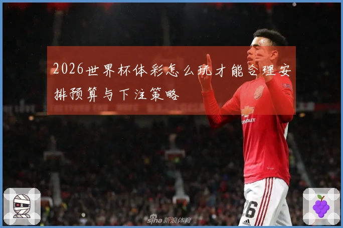 2026世界杯体彩怎么玩才能合理安排预算与下注策略