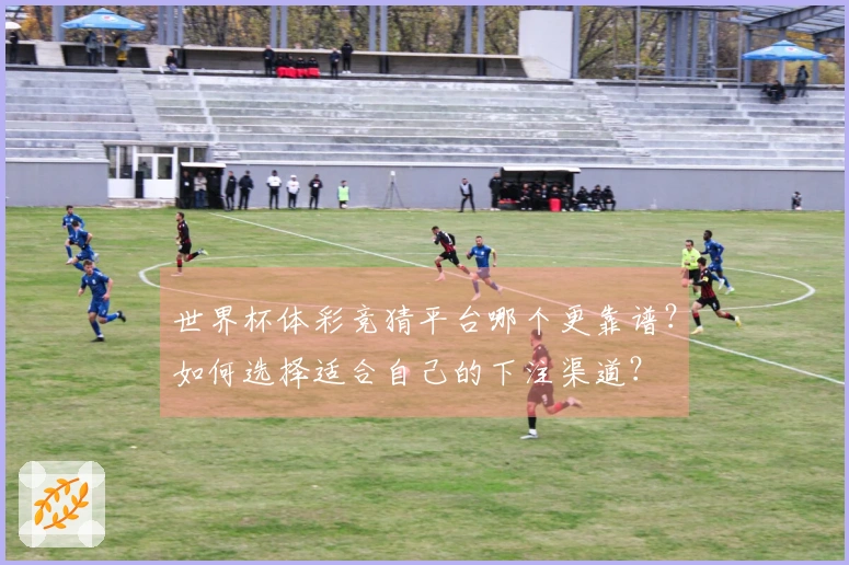 世界杯体彩竞猜平台哪个更靠谱？如何选择适合自己的下注渠道？