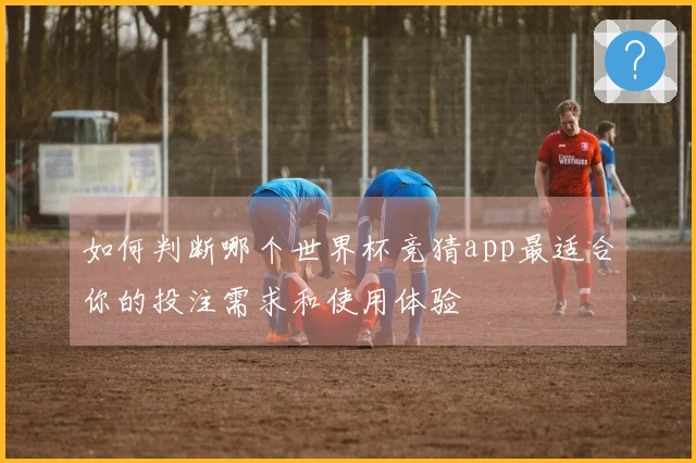 如何判断哪个世界杯竞猜app最适合你的投注需求和使用体验