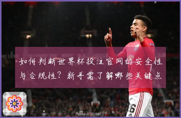 如何判断世界杯投注官网的安全性与合规性？新手需了解哪些关键点？