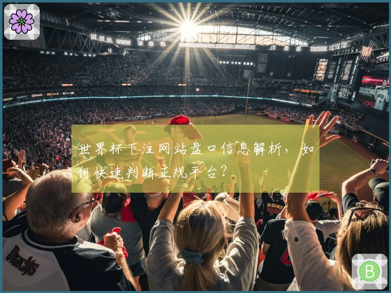 世界杯下注网站盘口信息解析，如何快速判断正规平台？