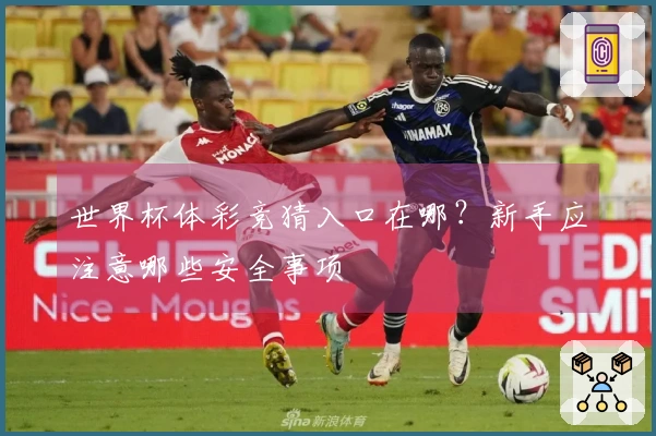 世界杯体彩竞猜入口在哪？新手应注意哪些安全事项