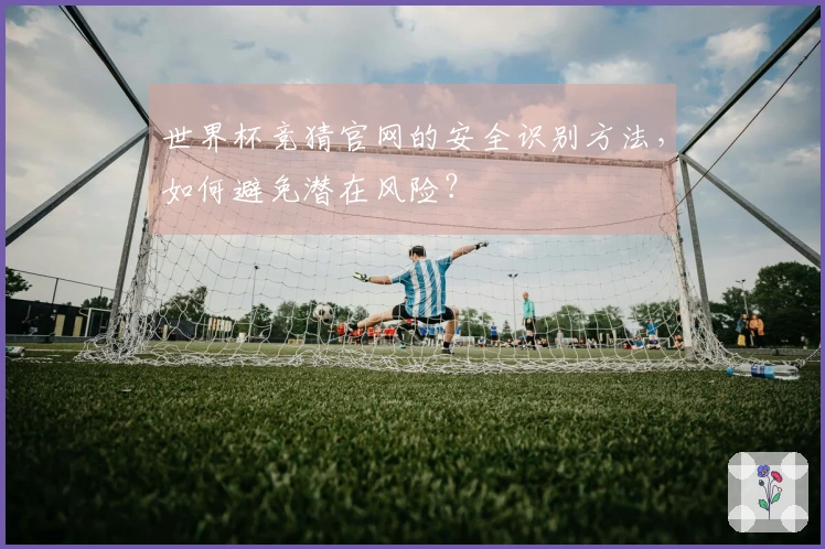 世界杯竞猜官网的安全识别方法，如何避免潜在风险？