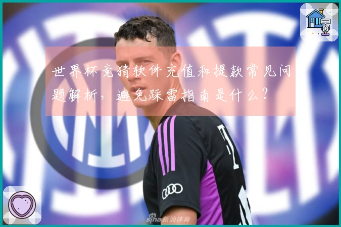 世界杯竞猜软件充值和提款常见问题解析，避免踩雷指南是什么？