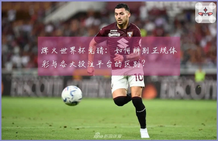 烽火世界杯竞猜：如何辨别正规体彩与各大投注平台的区别？