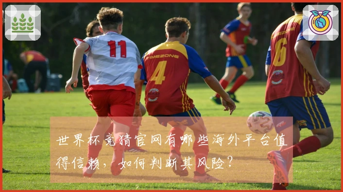世界杯竞猜官网有哪些海外平台值得信赖，如何判断其风险？