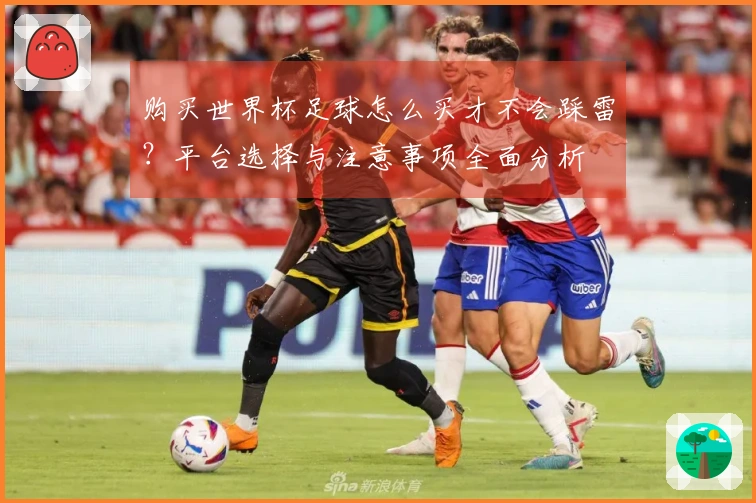 购买世界杯足球怎么买才不会踩雷？平台选择与注意事项全面分析