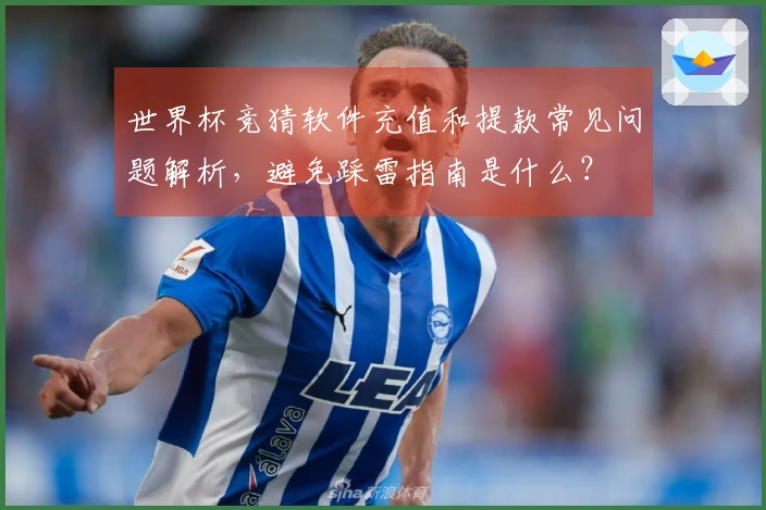 世界杯竞猜软件充值和提款常见问题解析，避免踩雷指南是什么？