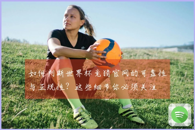 如何判断世界杯竞猜官网的可靠性与正规性？这些细节你必须关注