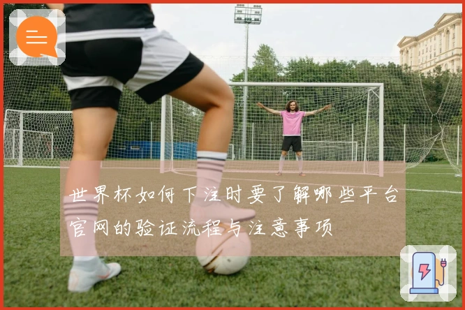 世界杯如何下注时要了解哪些平台官网的验证流程与注意事项